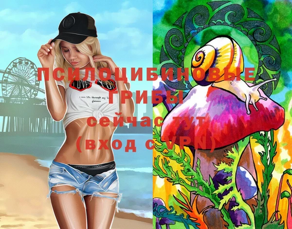соль ск Абинск